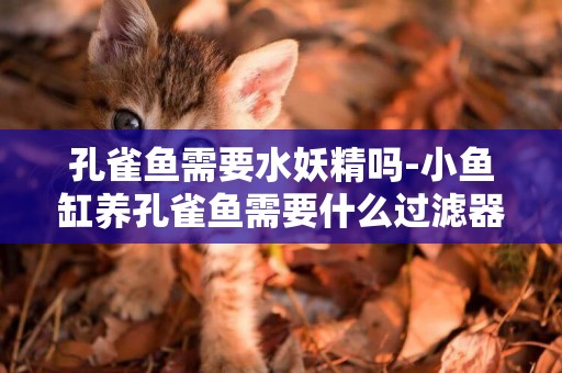 孔雀魚需要水妖精嗎-小魚缸養孔雀魚需要什么過濾器？