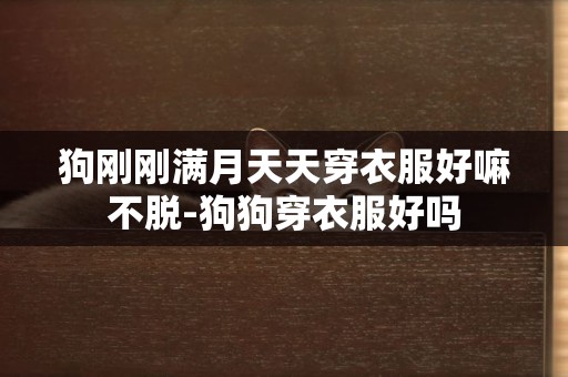 狗剛剛滿月天天穿衣服好嘛不脫-狗狗穿衣服好嗎