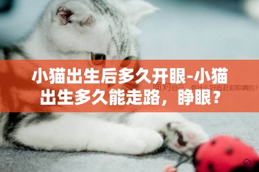 小貓出生后多久開眼-小貓出生多久能走路，睜眼？