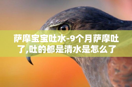 薩摩寶寶吐水-9個月薩摩吐了,吐的都是清水是怎么了