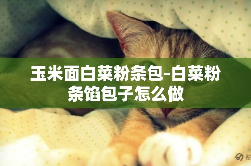 玉米面白菜粉條包-白菜粉條餡包子怎么做