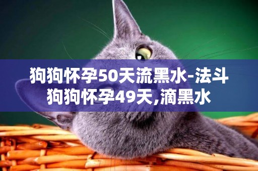 狗狗懷孕50天流黑水-法斗狗狗懷孕49天,滴黑水
