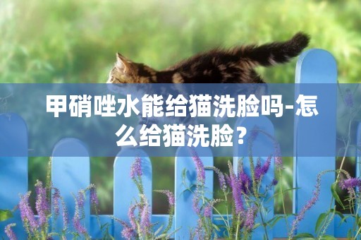 甲硝唑水能給貓洗臉嗎-怎么給貓洗臉？