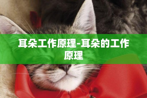 耳朵工作原理-耳朵的工作原理