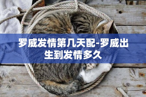 羅威發情第幾天配-羅威出生到發情多久