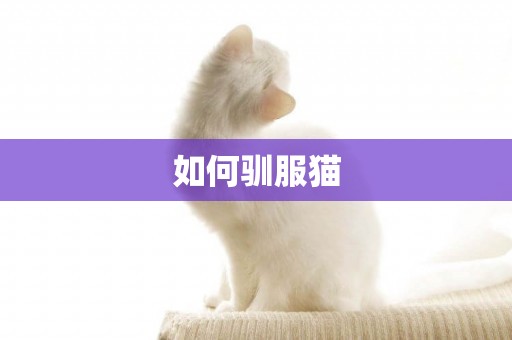 如何馴服貓