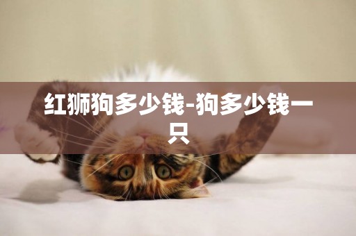 紅獅狗多少錢-狗多少錢一只