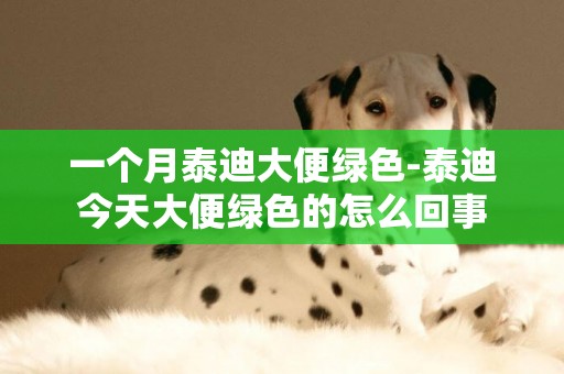 一個月泰迪大便綠色-泰迪今天大便綠色的怎么回事