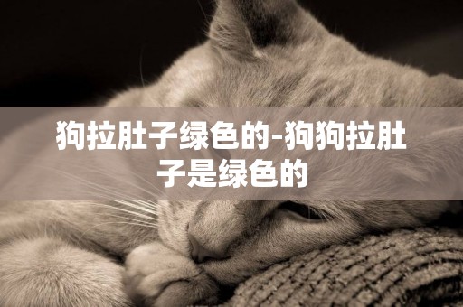 狗拉肚子綠色的-狗狗拉肚子是綠色的
