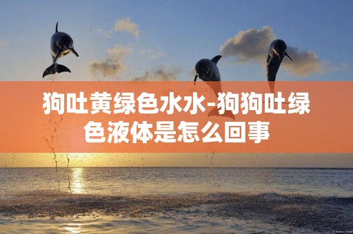 狗吐黃綠色水水-狗狗吐綠色液體是怎么回事
