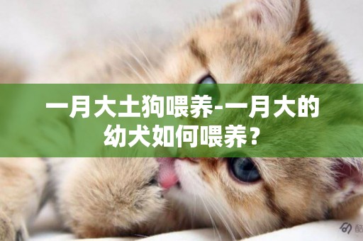 一月大土狗喂養-一月大的幼犬如何喂養？