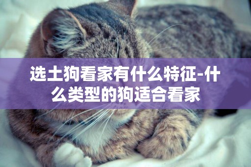 選土狗看家有什么特征-什么類型的狗適合看家