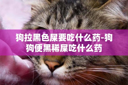 狗拉黑色屎要吃什么藥-狗狗便黑稀屎吃什么藥