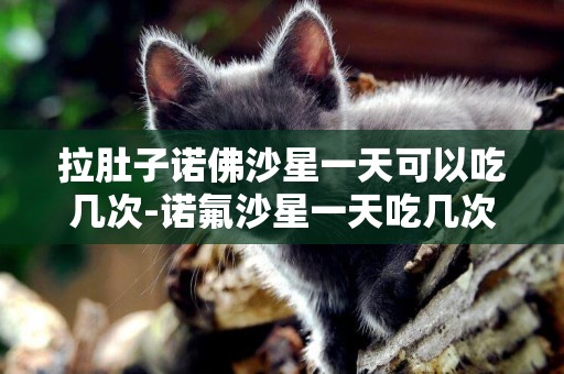 拉肚子諾佛沙星一天可以吃幾次-諾氟沙星一天吃幾次，一次吃幾粒？