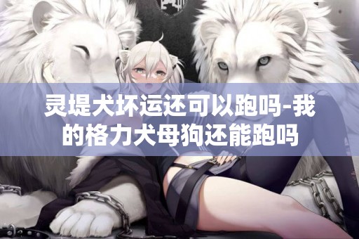 靈堤犬壞運還可以跑嗎-我的格力犬母狗還能跑嗎
