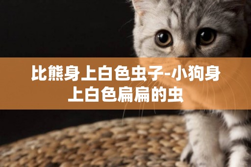比熊身上白色蟲子-小狗身上白色扁扁的蟲