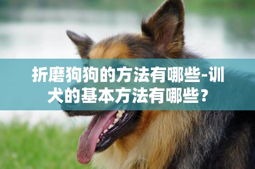 折磨狗狗的方法有哪些-訓犬的基本方法有哪些？