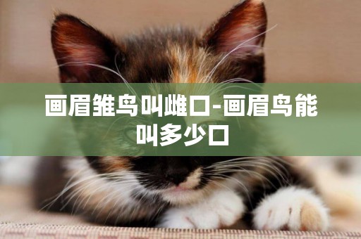 畫眉雛鳥叫雌口-畫眉鳥能叫多少口
