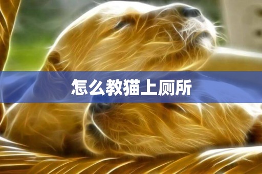 怎么教貓上廁所
