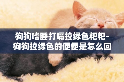 狗狗嗜睡打嗝拉綠色粑粑-狗狗拉綠色的便便是怎么回事？