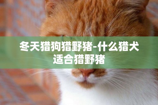 冬天獵狗獵野豬-什么獵犬適合獵野豬