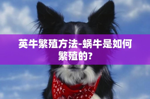 英牛繁殖方法-蝸牛是如何繁殖的?