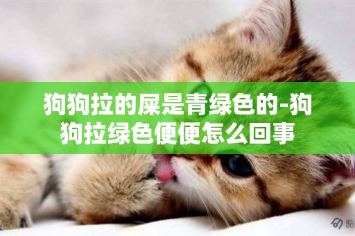 狗狗拉的屎是青綠色的-狗狗拉綠色便便怎么回事