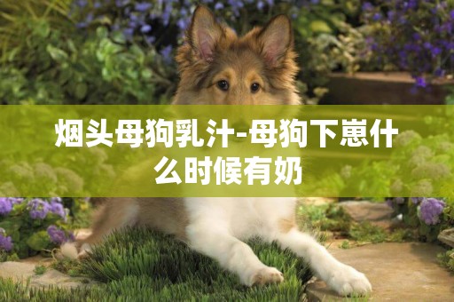 煙頭母狗乳汁-母狗下崽什么時候有奶