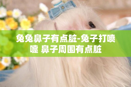 兔兔鼻子有點臟-兔子打噴嚏 鼻子周圍有點臟