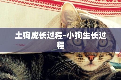 土狗成長過程-小狗生長過程