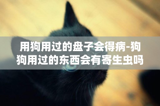 用狗用過的盤子會得病-狗狗用過的東西會有寄生蟲嗎