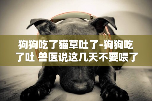 狗狗吃了貓草吐了-狗狗吃了吐 獸醫說這幾天不要喂了 會不會餓壞