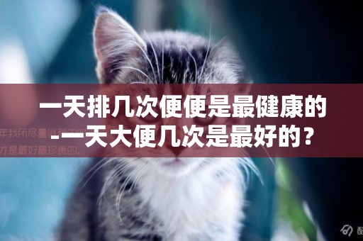 一天排幾次便便是最健康的-一天大便幾次是最好的？