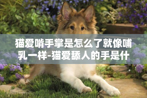貓愛啃手掌是怎么了就像哺乳一樣-貓愛舔人的手是什么意思,和狗一樣嗎?