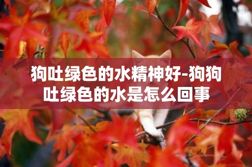 狗吐綠色的水精神好-狗狗吐綠色的水是怎么回事