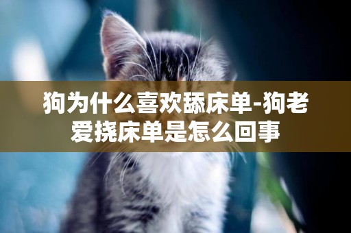 狗為什么喜歡舔床單-狗老愛撓床單是怎么回事