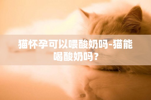 貓懷孕可以喂酸奶嗎-貓能喝酸奶嗎？