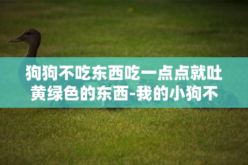 狗狗不吃東西吃一點點就吐黃綠色的東西-我的小狗不吃東西還吐黃色液體