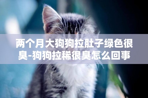 兩個月大狗狗拉肚子綠色很臭-狗狗拉稀很臭怎么回事？