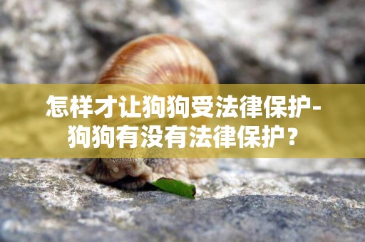 怎樣才讓狗狗受法律保護-狗狗有沒有法律保護？