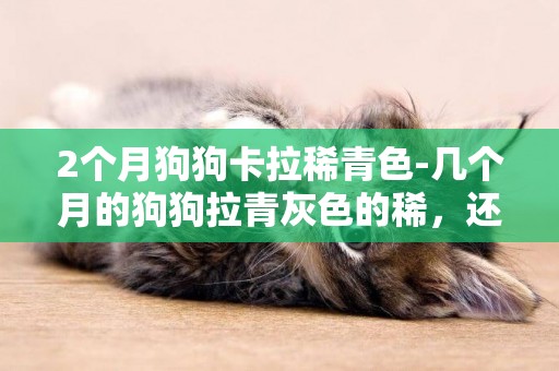 2個月狗狗卡拉稀青色-幾個月的狗狗拉青灰色的稀，還不吃不喝