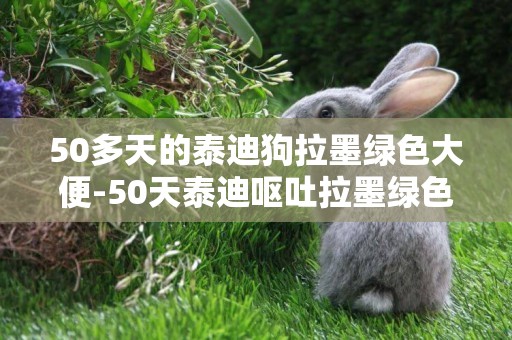 50多天的泰迪狗拉墨綠色大便-50天泰迪嘔吐拉墨綠色稀屎