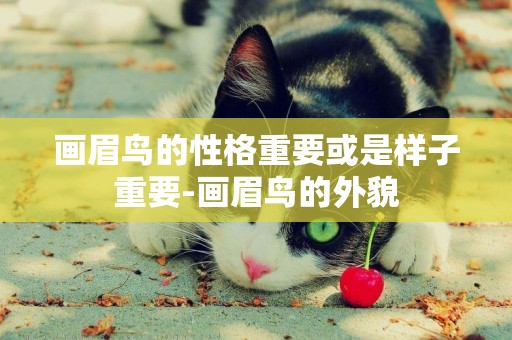 畫眉鳥的性格重要或是樣子重要-畫眉鳥的外貌