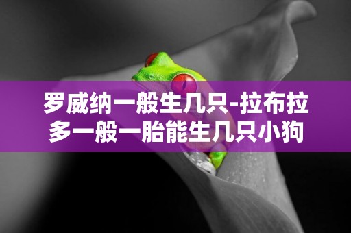 羅威納一般生幾只-拉布拉多一般一胎能生幾只小狗