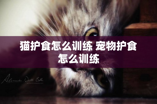 貓護食怎么訓練 寵物護食怎么訓練