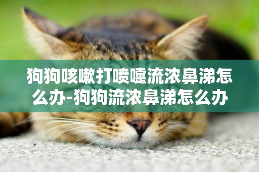 狗狗咳嗽打噴嚏流濃鼻涕怎么辦-狗狗流濃鼻涕怎么辦