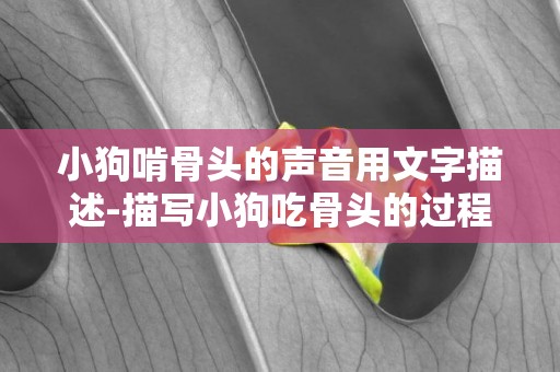 小狗啃骨頭的聲音用文字描述-描寫小狗吃骨頭的過程的句子