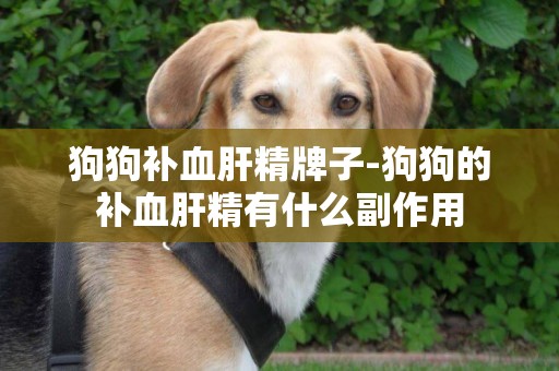 狗狗補血肝精牌子-狗狗的補血肝精有什么副作用