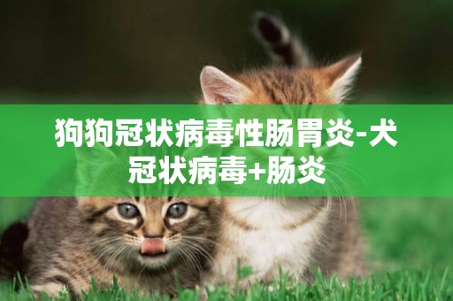 狗狗冠狀病毒性腸胃炎-犬冠狀病毒+腸炎