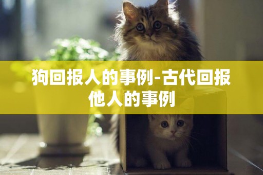 狗回報人的事例-古代回報他人的事例
